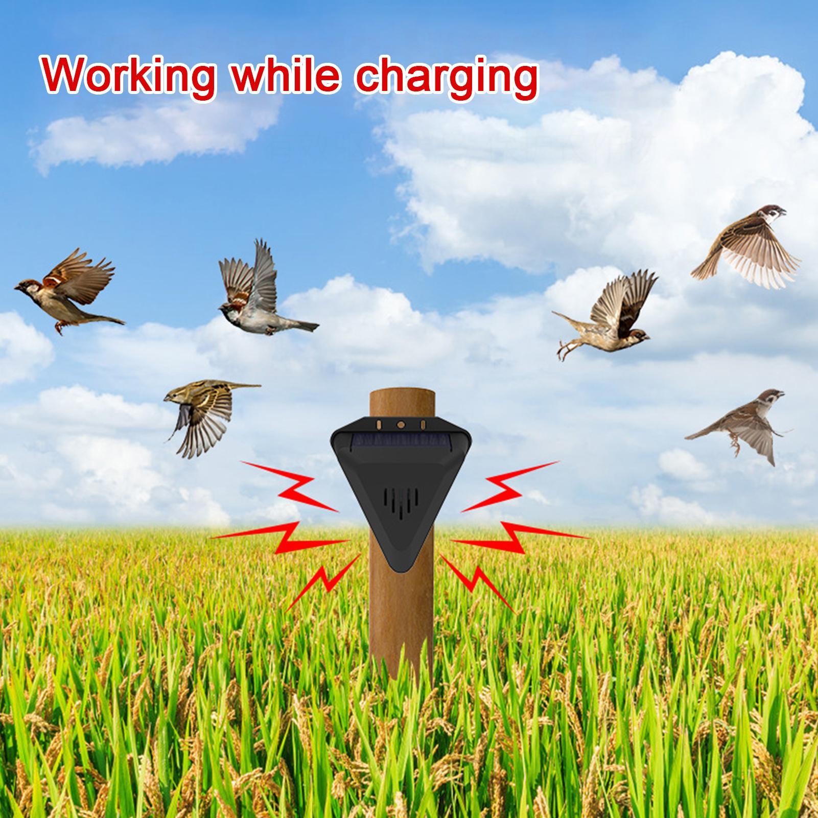 เครื่องไล่นกพลังงานแสงอาทิตย์  - Outdoor Power Timer บทวิจารณ์และราคา